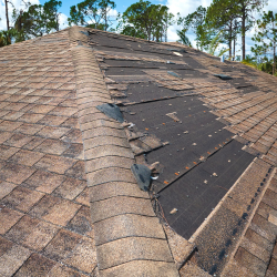 Swordsmen Roofing and Construction LLC Logo Insurance Damage Roof