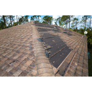 Swordsmen Roofing and Construction LLC Logo Insurance Damage Roof